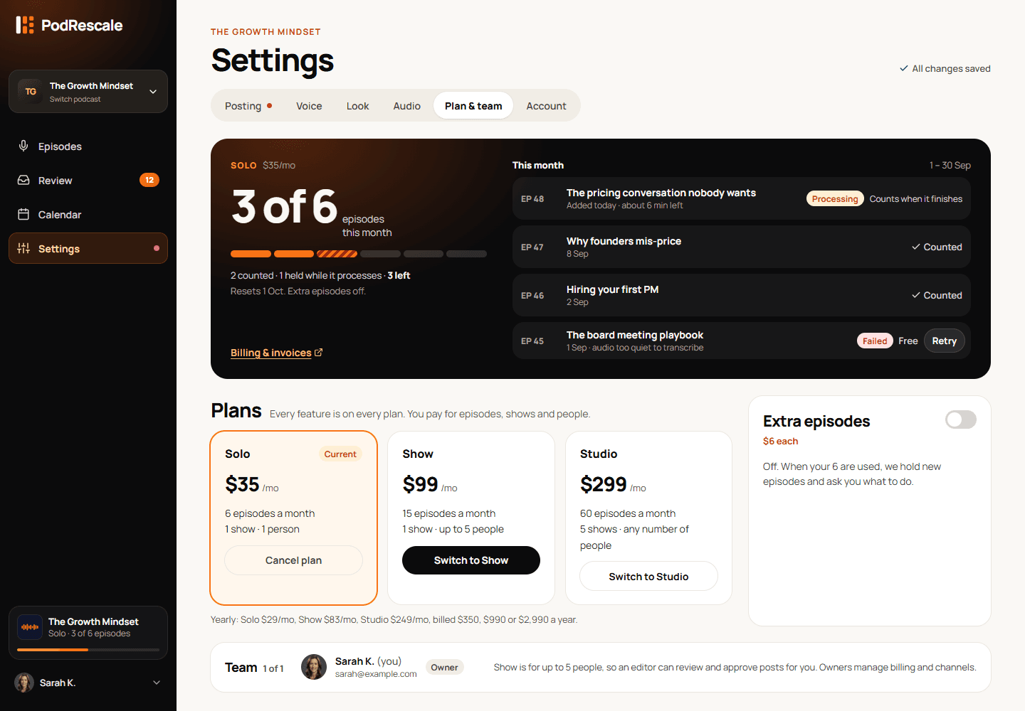 Plan and team screen with the workspace's people allowance and current owner